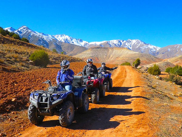 Half Day Buggy Biking To Desert Of Agafay