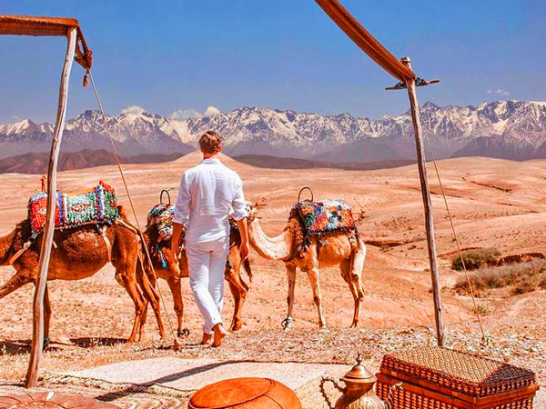 Half Day Sunset Camel Ride with Dinner in Agafay Desert