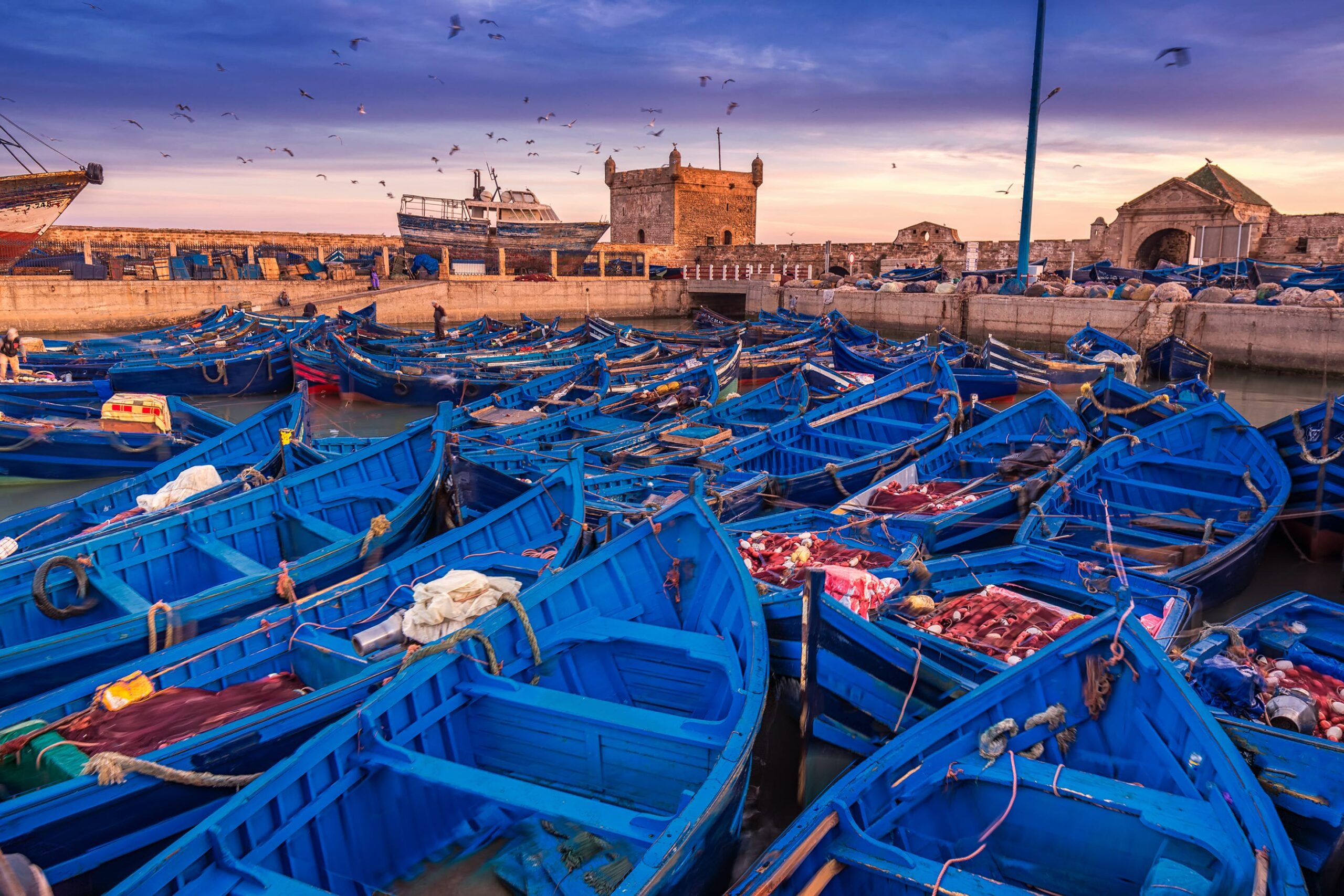 1 Day Trip to Essaouira From Casablanca