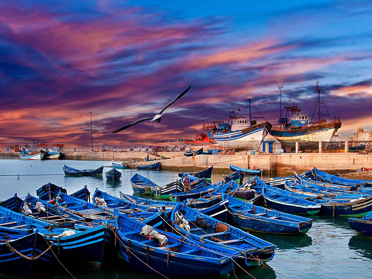 1 Day Trip to Essaouira From Casablanca