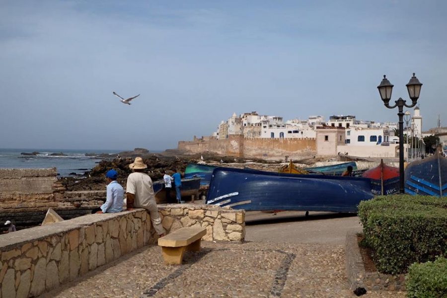 1 Day Trip to Essaouira From Marrakech