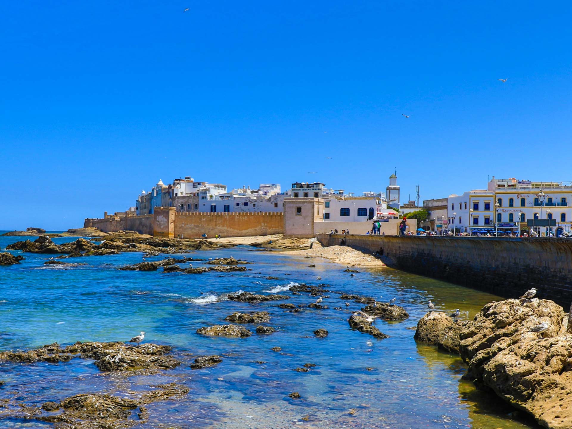 1 Day Trip to Essaouira From Marrakech
