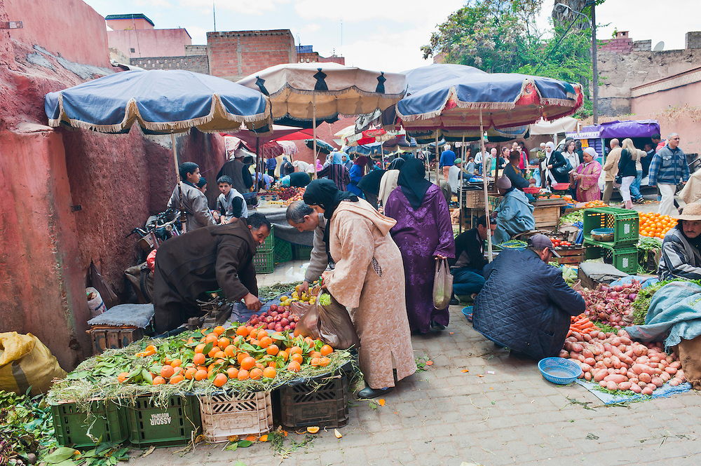 1 Day Trip to Marrakech From Casablanca