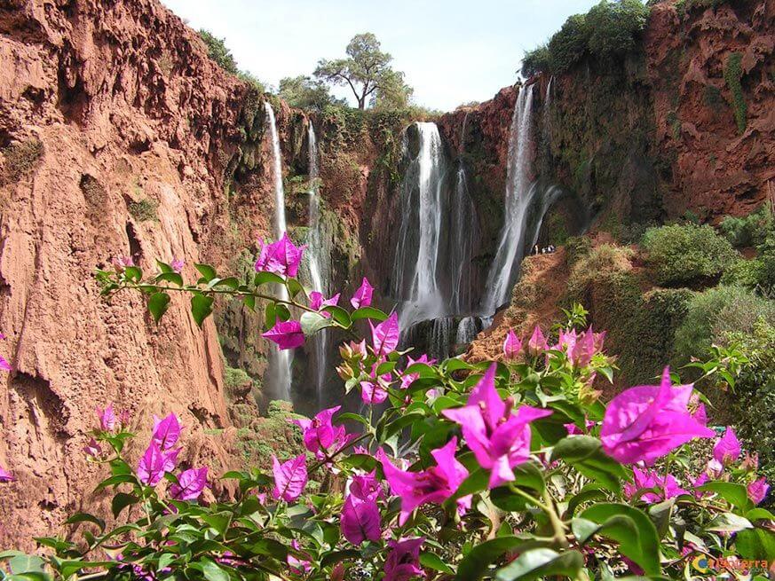 1 Day Trip to Ouzoud Waterfalls From Marrakech