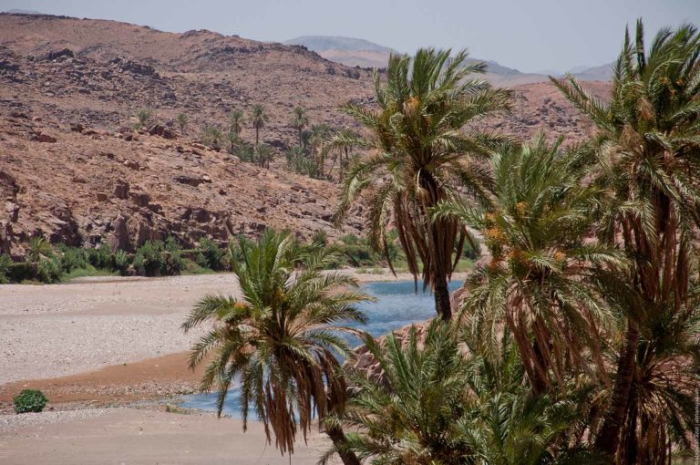 3 Days Tour From Marrakech To Fes & Atlas And Desert Merzouga