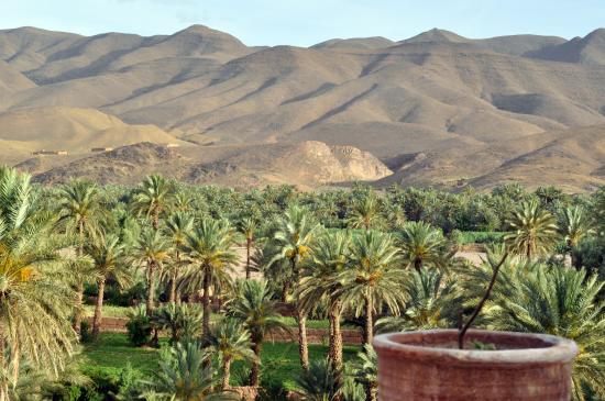 3 Days Tour From Marrakech To Fes & Atlas And Desert Merzouga