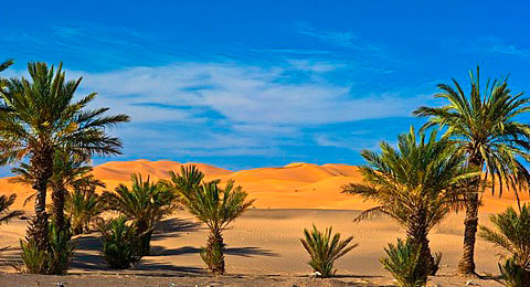 4 Days Tour Merzouga Desert Tour From Marrakech