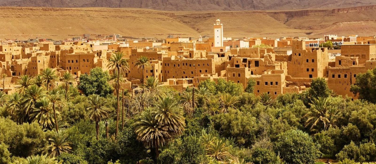6 Days Tour From Casablanca To Sahara Desert & Fes