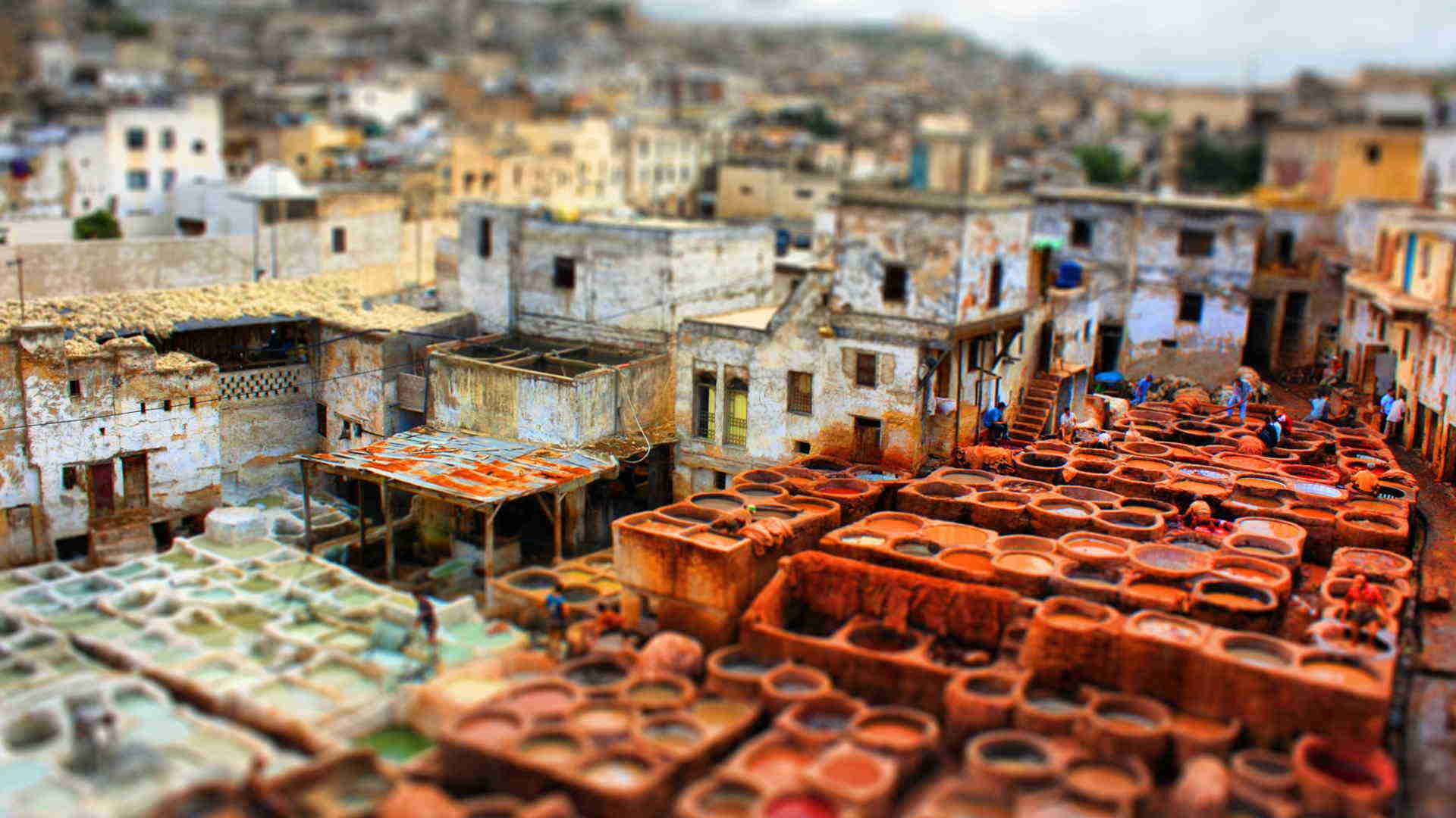 7 Days Morocco Imperial Cities Tour From Tangier To Asilah