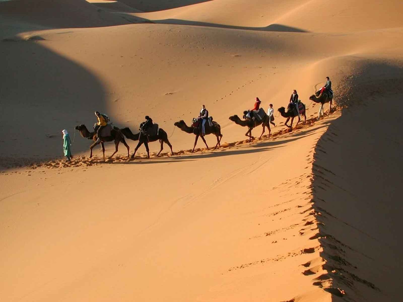 8 Days Northern Tour To Imperial Cities And Desert From Tangier