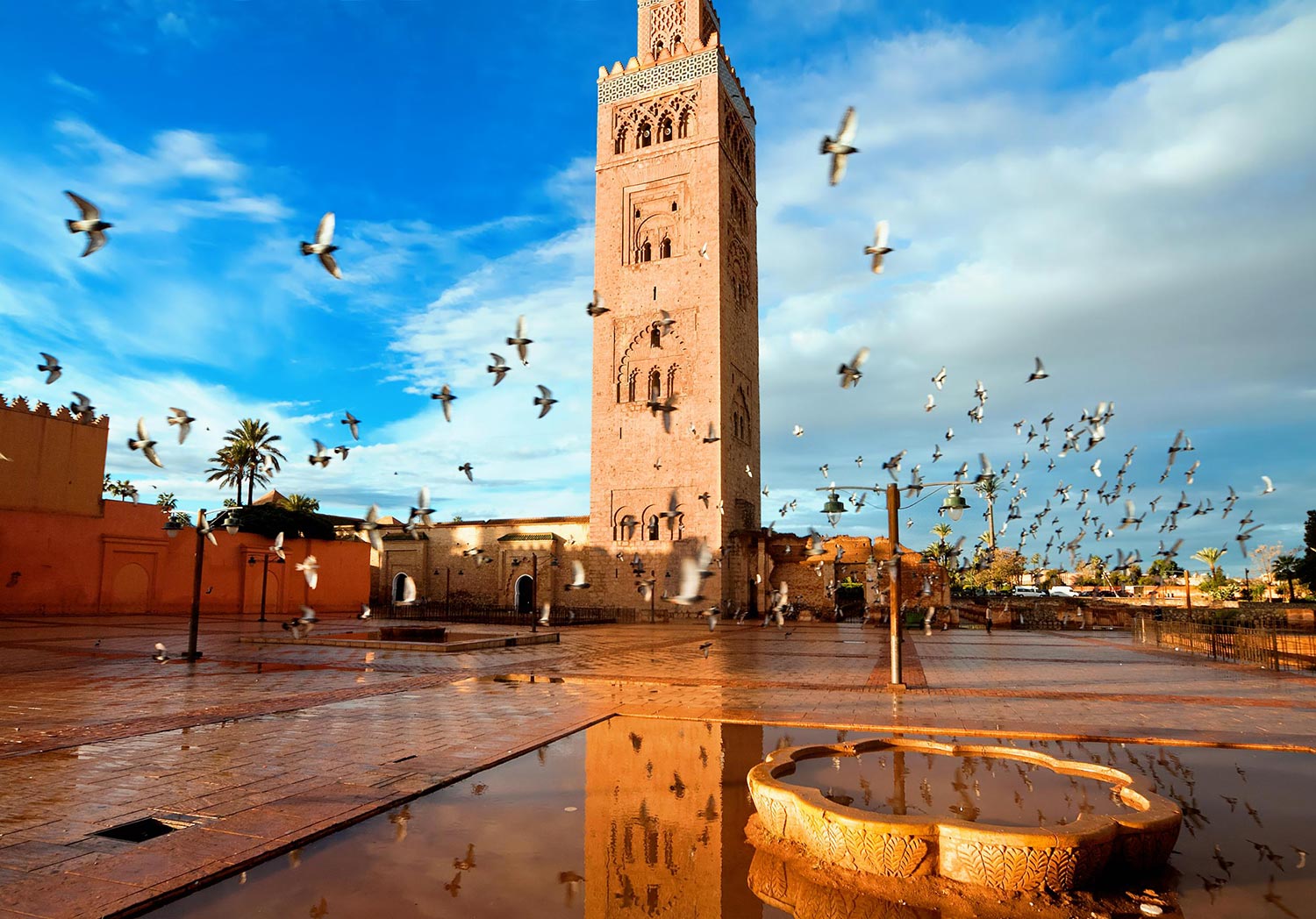 8 Days Northern Tour To Imperial Cities And Desert From Tangier