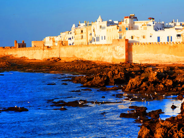 1 Day Trip to Essaouira From Marrakech