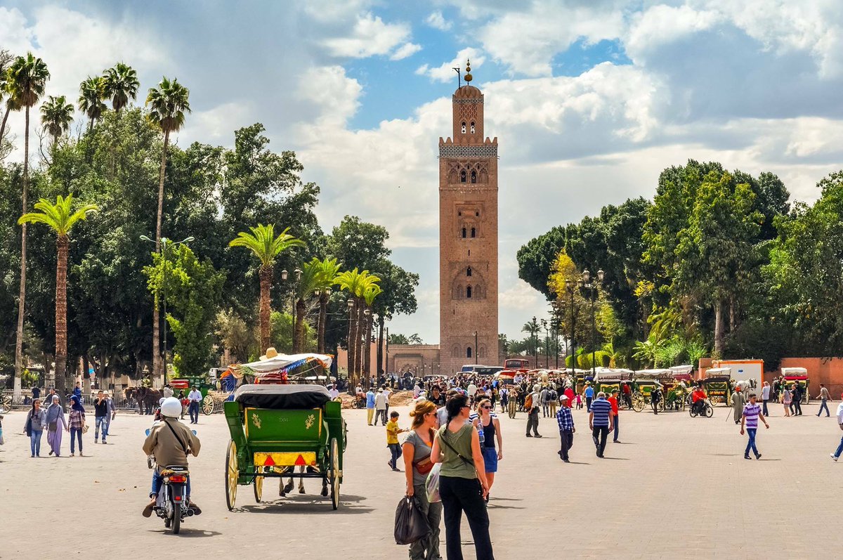 Half Day Marrakech Sightseeing Guided City Tour