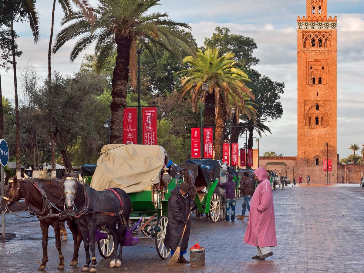 Half Day Marrakech Sightseeing Guided City Tour