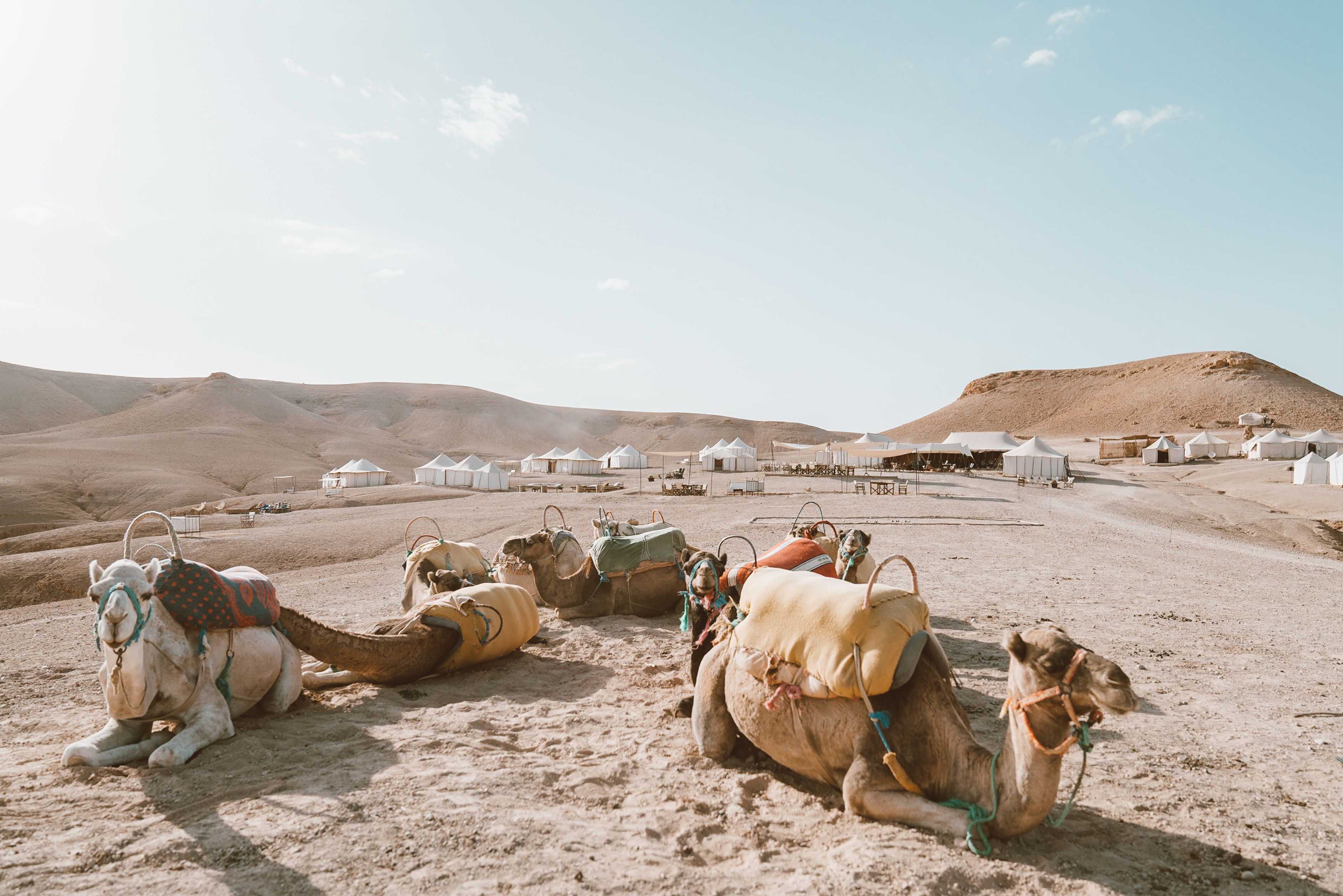 Half Day Sunset Camel Ride with Dinner in Agafay Desert