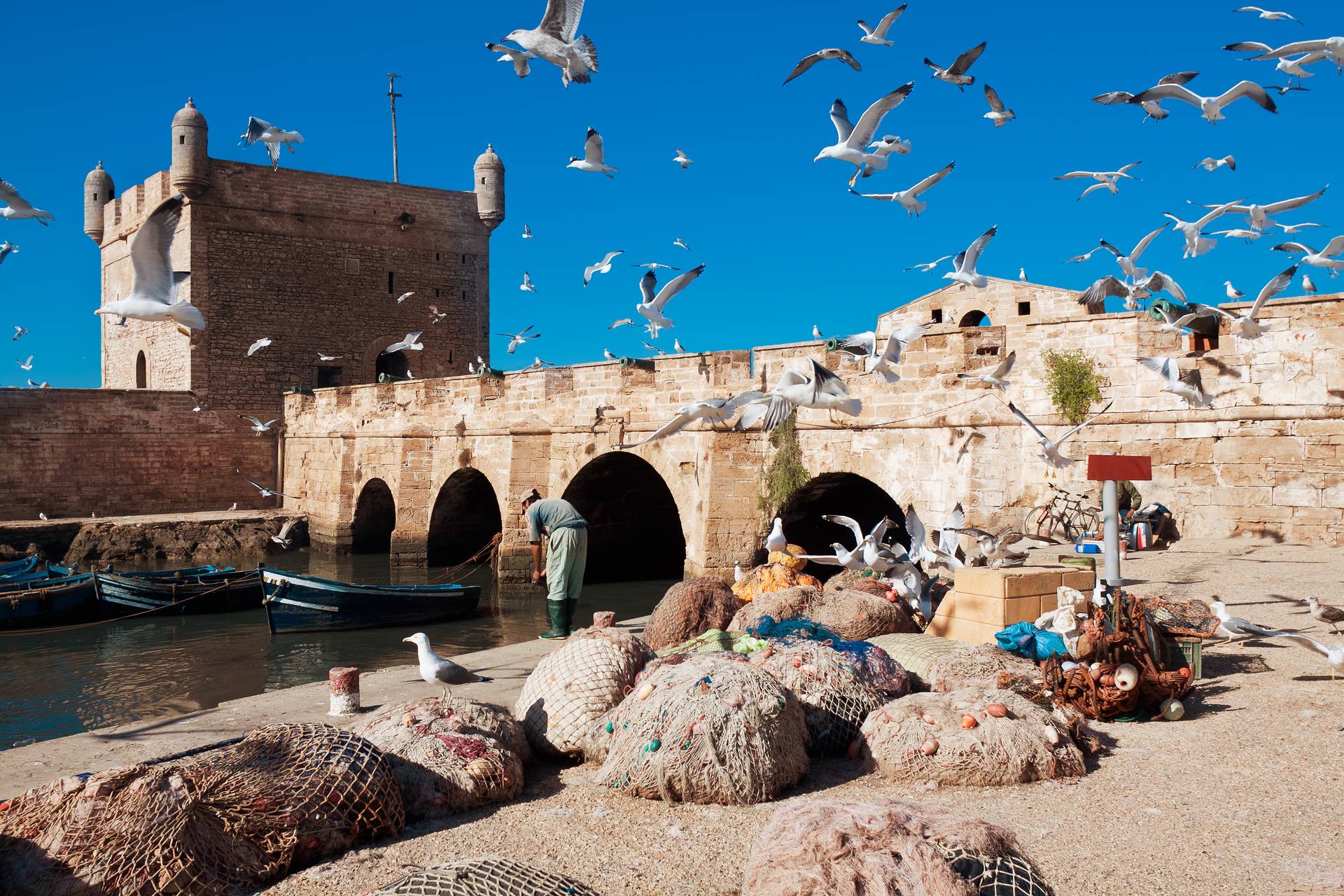 5 Days Tour From Marrakech To Essaouira Beach And Agadir