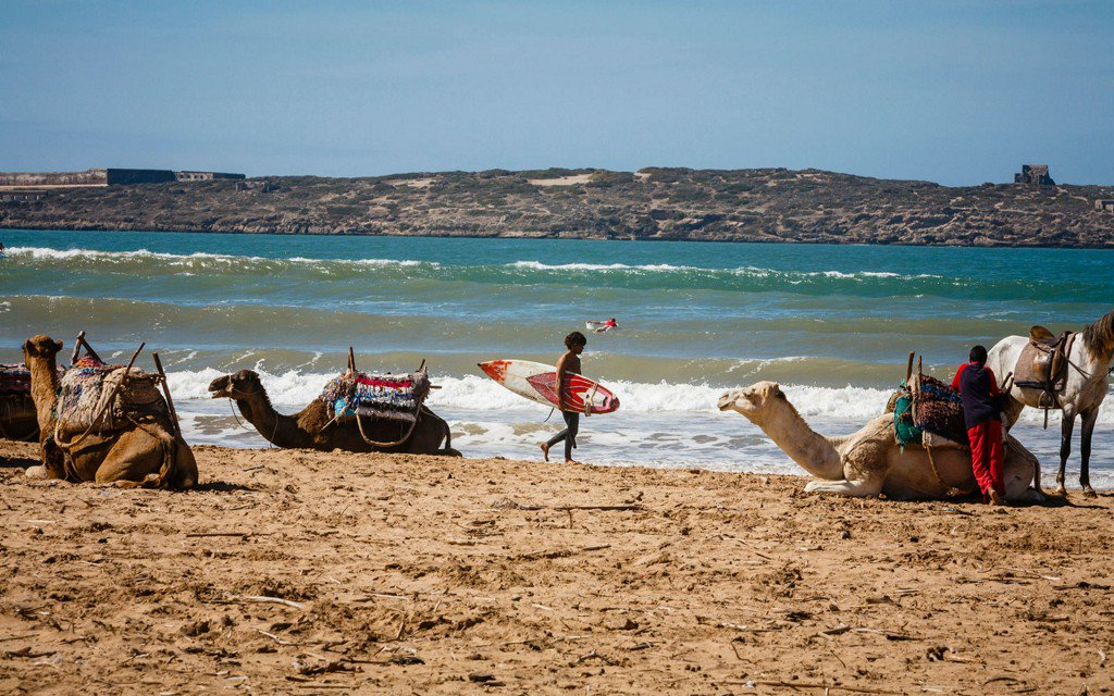 5 Days Tour From Marrakech To Essaouira Beach And Agadir