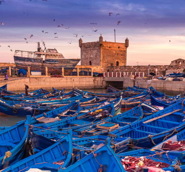 6 Days Tour From Marrakech To Essaouira Via Taroudant